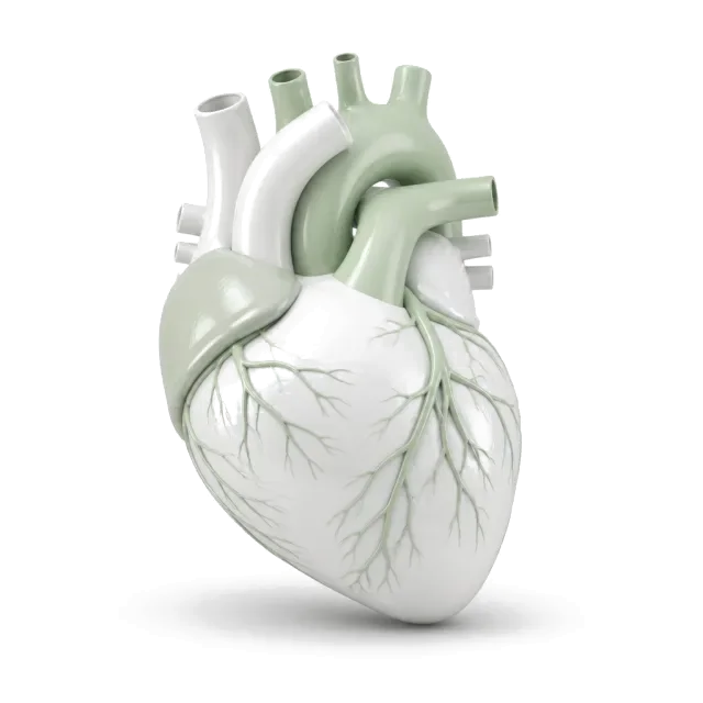 Healthy Heart Package
