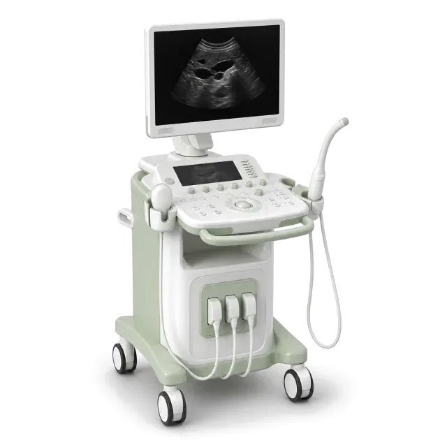 4D / 3D / 2D Ultrasound